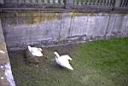 Bialystok 2007-04-19
