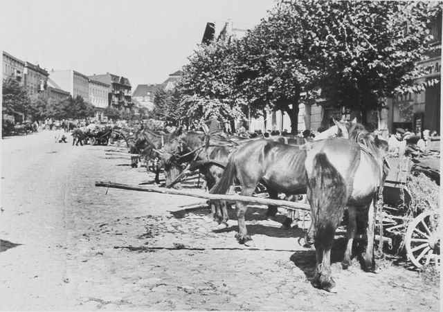 Lyck - Wochenmarkt am Markt