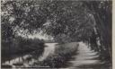 Ostr�da - Kana� z promenad�