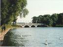 E�k - Widok na wysp�