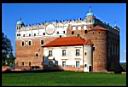 Golub-Dobrzy� - Zamek